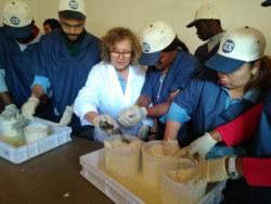 Progetto Caseificazione